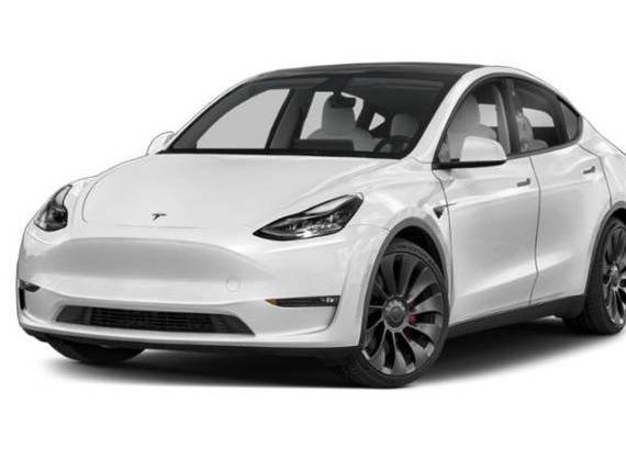 TESLA MODEL Y 2021 5YJYGDEE6MF255026 image